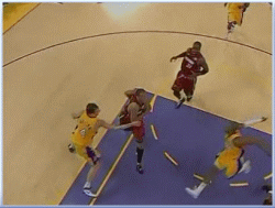 kobe_stuffs_marion_a2.gif